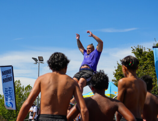 Heavyweight Division